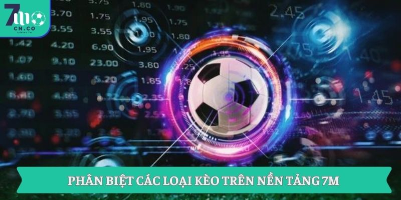 Bổ Sung Kiến Thức Kèo Bóng Đá Và Kinh Nghiệm Từ 7M 1 Phân biệt các loại kèo trên nền tảng 7M