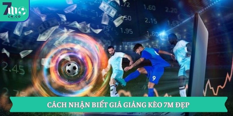 Giới Thiệu Và Giải Thích Giá Giảng Kèo Chi Tiết Qua 7m 2 Cách nhận biết giá giảng kèo 7M đẹp
