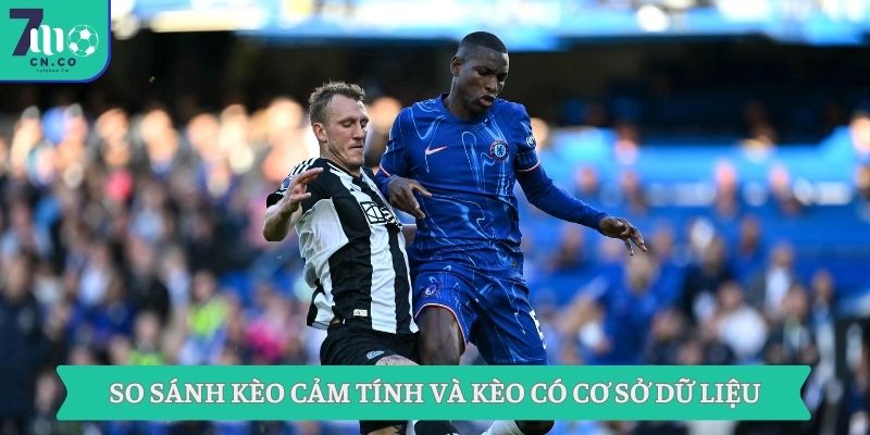 Mẹo Cược Kèo Hiệu Quả Thắng Lớn Chỉ Có Tại Nhà Cái 7m 1 So sánh kèo cảm tính và kèo có cơ sở dữ liệu